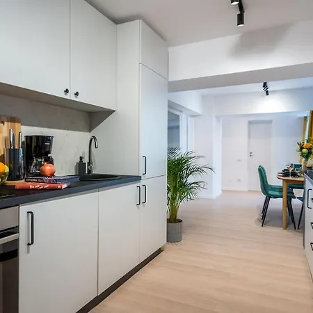 Apartament Spectacular - 4br-terrace - Piata Romana Bukareszt